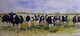 Curious Cows on Terraskin paper